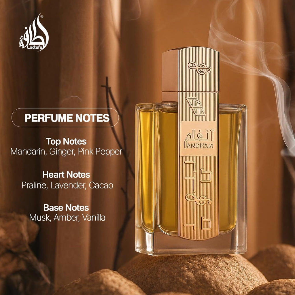 Pack business 25 parfums 100 ml