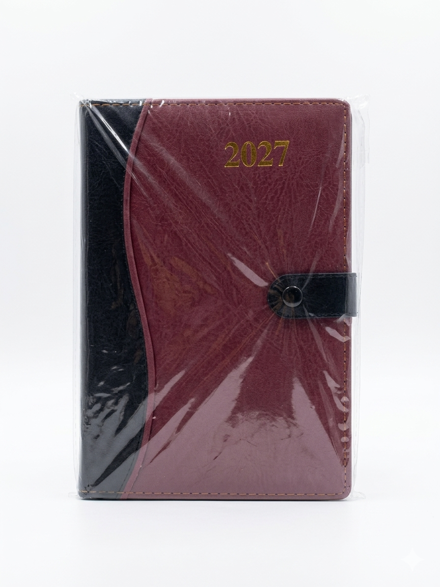 Lot de 500 agenda 2027